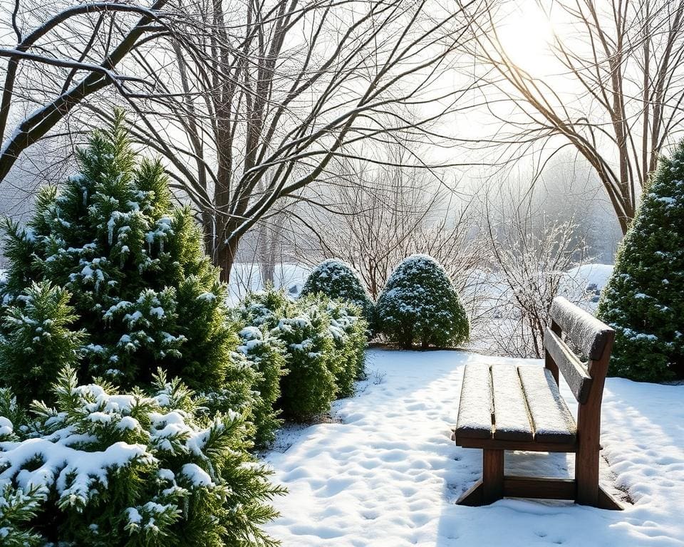 Hoe maak je je tuin winterklaar?